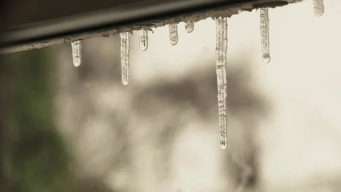 Close up water dripping from icicles winter England December 2017 Stock Footage 83309992