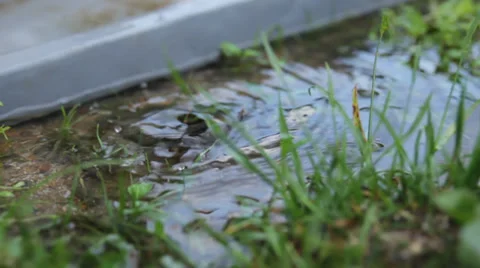 Close up of water dripping into puddle from gutter Video stock 38550756