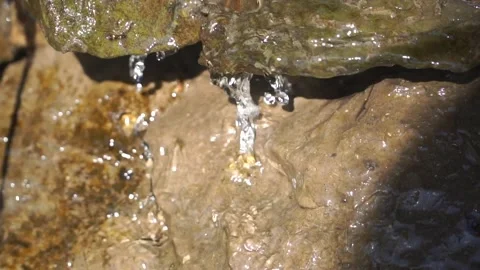 Close up Water dripping from stream over rock Stock Footage 172134241