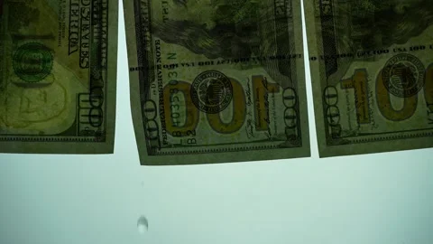 Close up water drop falling from wet dollar bill Stock Footage 221197727