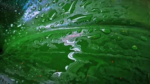 Close up of water drop texture on the leaf for background Stock Footage 293588970
