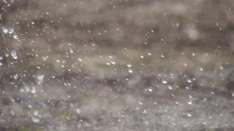Close Up of Water Droplets as Center Pivot Irrigates Young Corn Crop Stock Footage