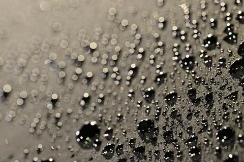 Close-Up of Water Droplets on Dark Surface Stock Photos