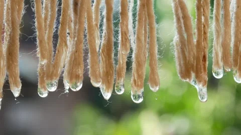 Close up of water droplets falling from a wet cloth being dried Stock Footage 306778592