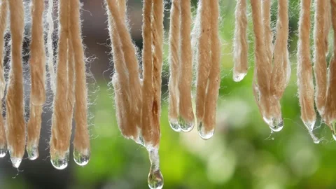 Close up of water droplets falling from a wet cloth being dried Stock Footage 306778595