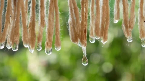 Close up of water droplets falling from a wet cloth being dried Stock Footage 306778596
