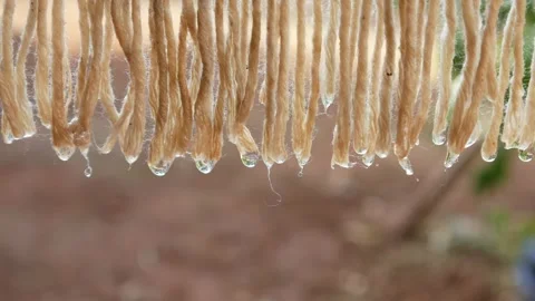 Close up of water droplets falling from a wet cloth being dried Stock Footage 306778665