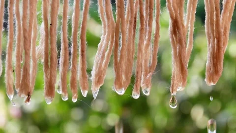 Close up of water droplets falling from a wet cloth being dried Stock Footage 306778675