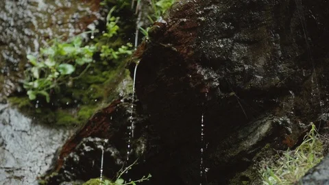 Close-up on water droplets Stock Footage 88341696