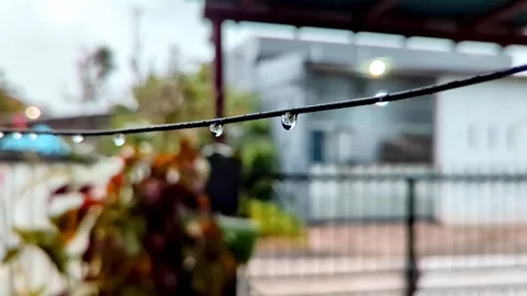 Close-up of water droplets hanging on a cable. Stock Footage 316200809