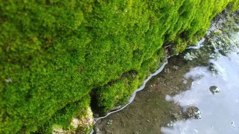 Close-up of water droplets on a puddle Stock Footage 276339177