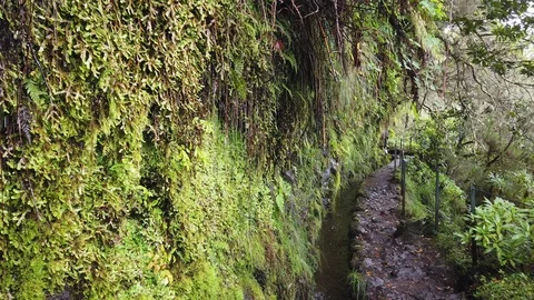 Close up of water drops falling from geen wall to the water channel called Stock Footage 118396079