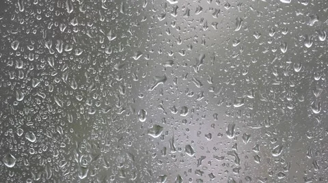 Close-up of water drops Video stock 66438398