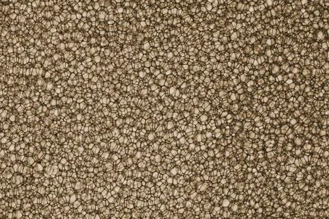 Close up of Water Drops Stock Photos