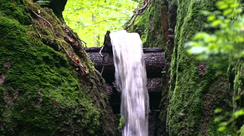 Close up of a water fall in a forest Видео 43219631