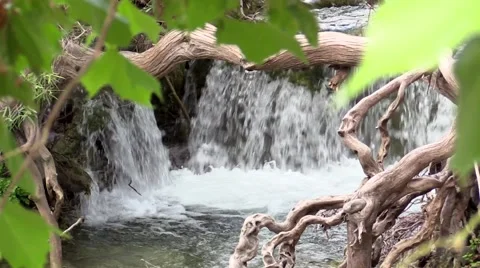 Close up water fall with tree branchs clear water Stock Footage 53341408