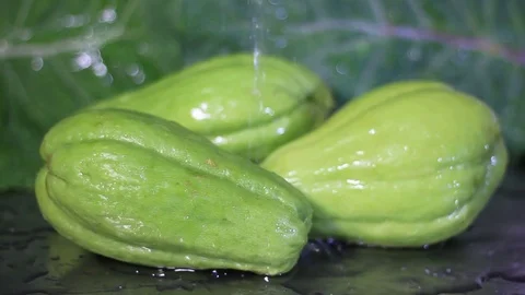 Close-up of water falling on group of chuchu isolated Stock Footage 94120623