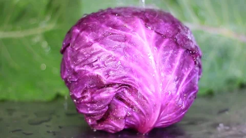Close-up of water falling on purple cabbage isolated Stock Footage 94120653
