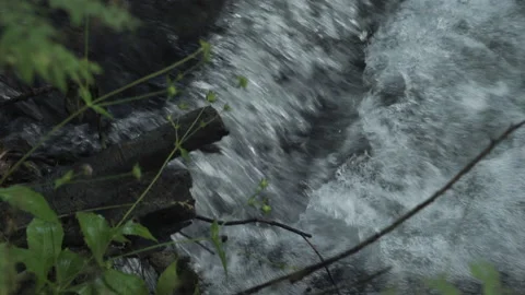 Close up of water floating Stock Footage