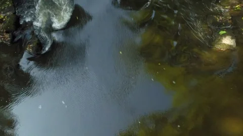 Close up on the water flow of a river Stock Footage 73702990