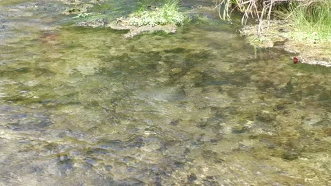 Close up of water flowing down a river  Stock Footage 168213963