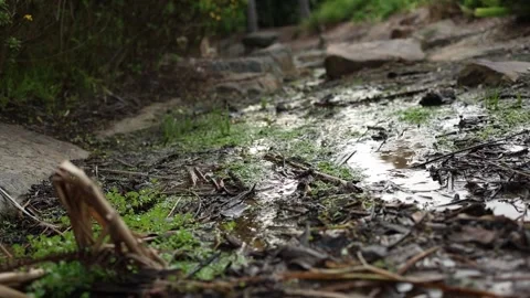 Close-up of water flowing in a muddy stream 動画素材 336315728