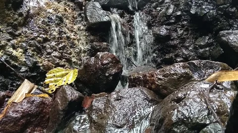 Close Up of Water Flowing Over Dark Rocks in Stream Stock Footage 329798528