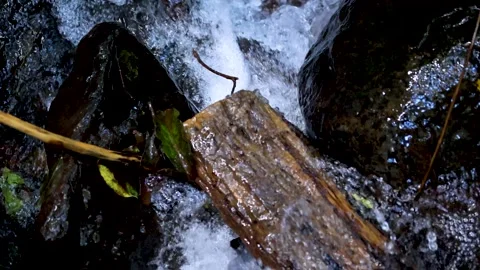 Close-Up of Water Flowing Over Log and Rocks in Stream Vídeo Stock 314255201