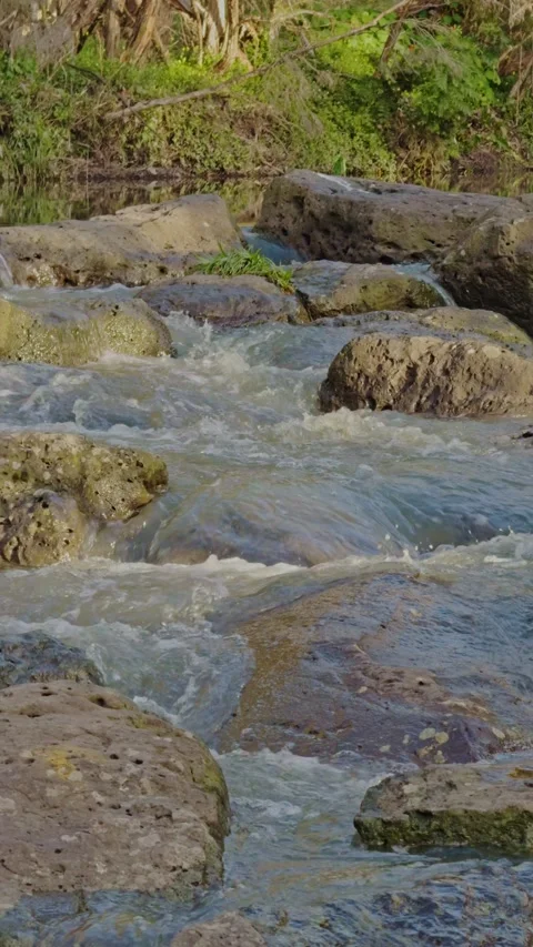 Close-up of water flowing over rocks in urban waterway Video stock 321999156
