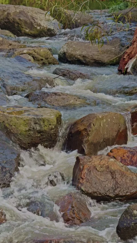 Close-up of water flowing over rocks in urban waterway 스톡 동영상 321999409