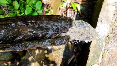 Close-Up of Water Flowing over a Split Bamboo Water Channel Video stock 348064254
