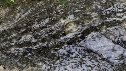 Close Up of Water Flowing Over Stone Parc des Buttes-Chaumont Paris Vidéo 336500226