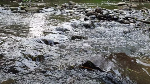 Close-Up of Water Flowing Rapidly Over Rocks in a Small Stream Stock Footage 340051399