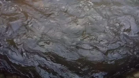 Close up of water flowing in the river Stock Footage 243950349