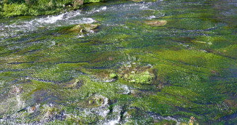 Close-Up Of Water Flowing Through Rocks. Stock Footage 233190163