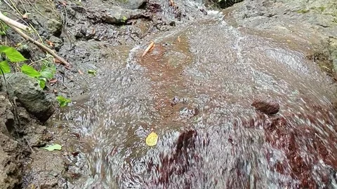 Close Up of Water Flowing Through Rocky Forest Creek Stock Footage 329782288