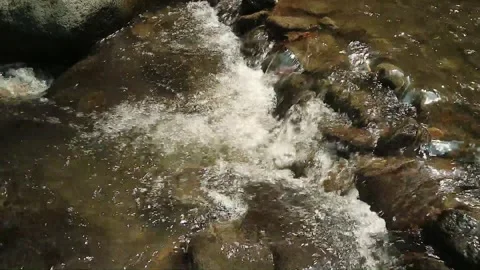 Close-up water flows through a rocky river with different sized stones in it Stock Footage 256020842