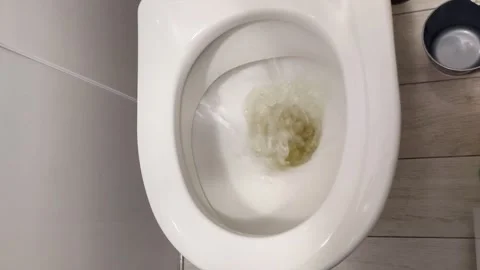 Close Up of Water Flushing Down a Clean White Bathroom Toilet Stock Footage 328138870