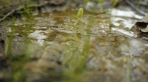 Close up of water on ground Video stock 11858164