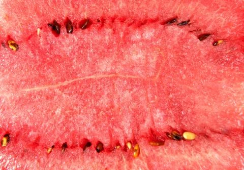 Close-up of water melon Stock Photos