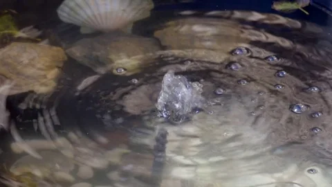 Close up water pumping in pond Stock Footage 80459488