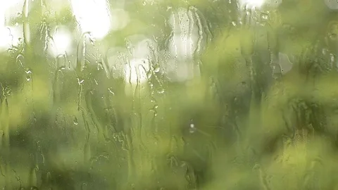 Close up of water rain drops drip on the surface of glass Stock Footage 122518390