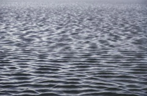 Close up of water ripple texture background. Wavy water surface. Stock Photos