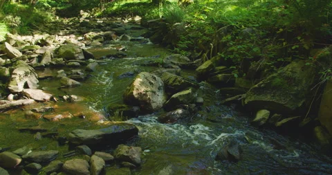 Close-up of water rippling over dark stones in a forest stream, reflecting Stock Footage 306760909