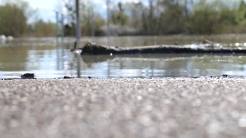 Close-up on the water of a river in slow motion. waves of river in slow motion Stock Footage 270291128