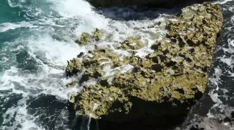 Close up of water on rock 2 Video stock 10969965