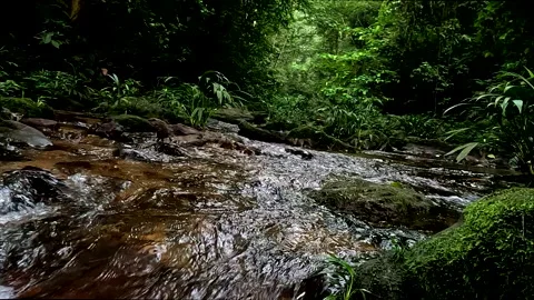 Close up of water running down a tropical river; tranquil background Vidéo 336933401