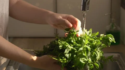 Close-up of water running over green leaves, emphasizing clarity, freshness, and Stock Footage 317323258