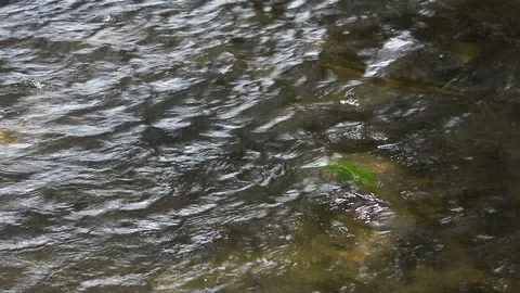 Close-up of Water running through river Stock Footage 95441351