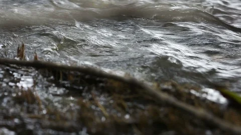 Close-up of Water running through river Stock-Footage 95443131